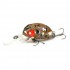 Воблер Lucky John Pro Series Haira Tiny LBF 44