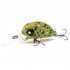 Воблер Lucky John Pro Series Haira Tiny LBF 44